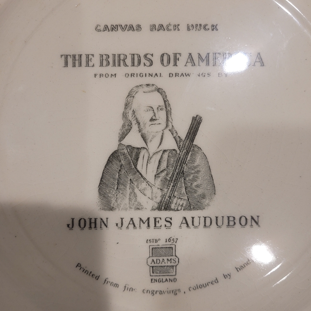 Canvas Back Duck, The Birds Of America, John James Audubon Plate - Picture 4 of 4